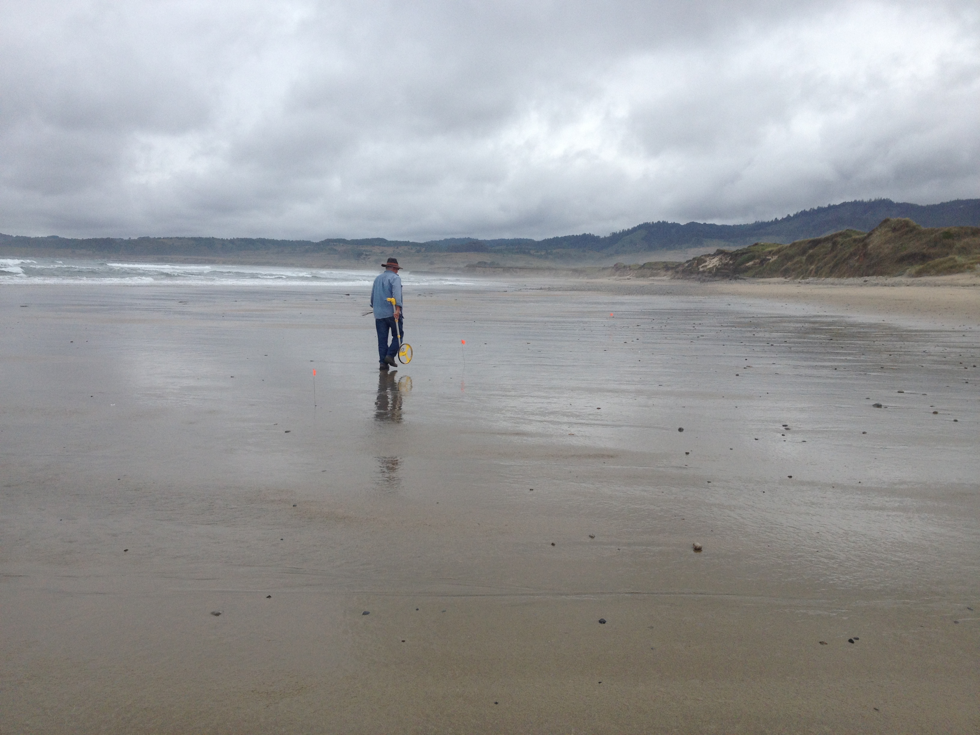 Bob meticulously measuring the length of our transects.