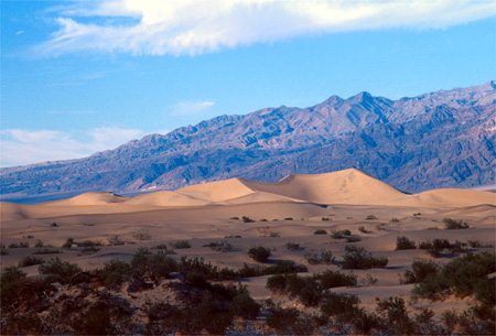 Death Valley dunes.