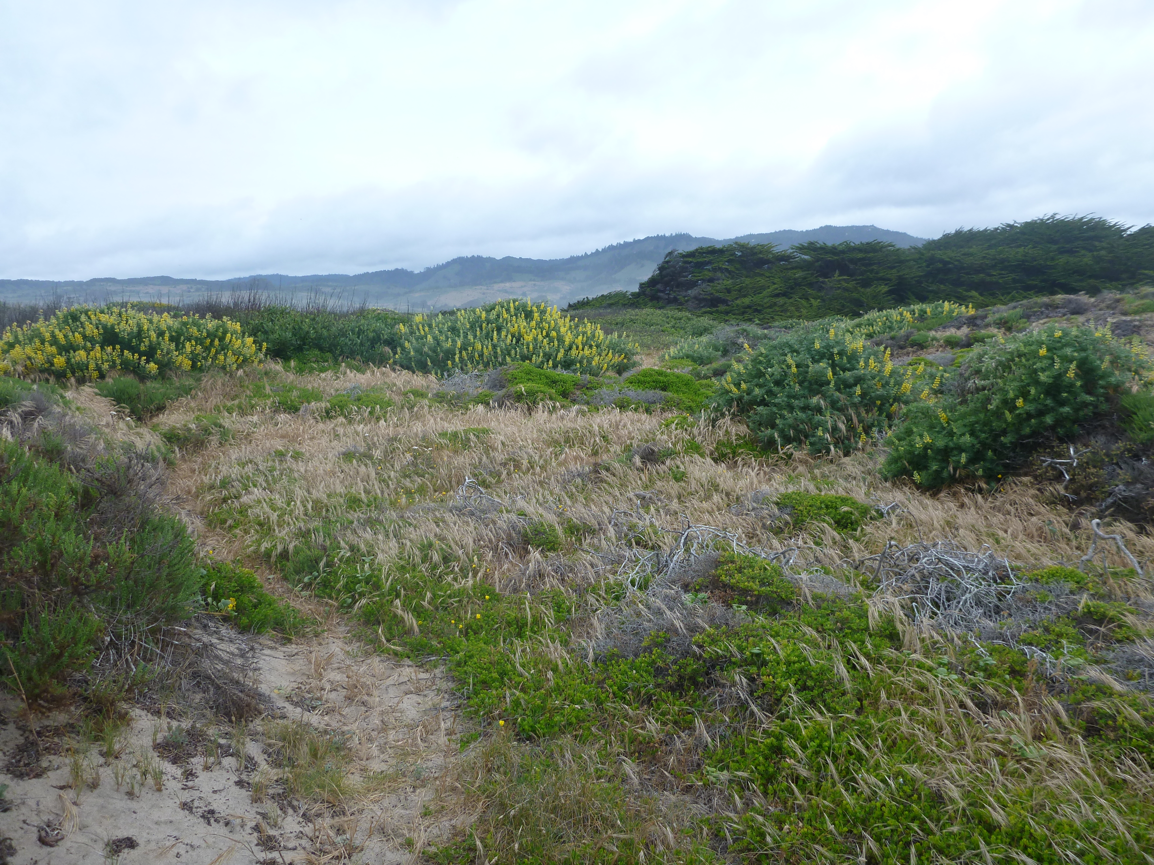 A beautiful landscape.