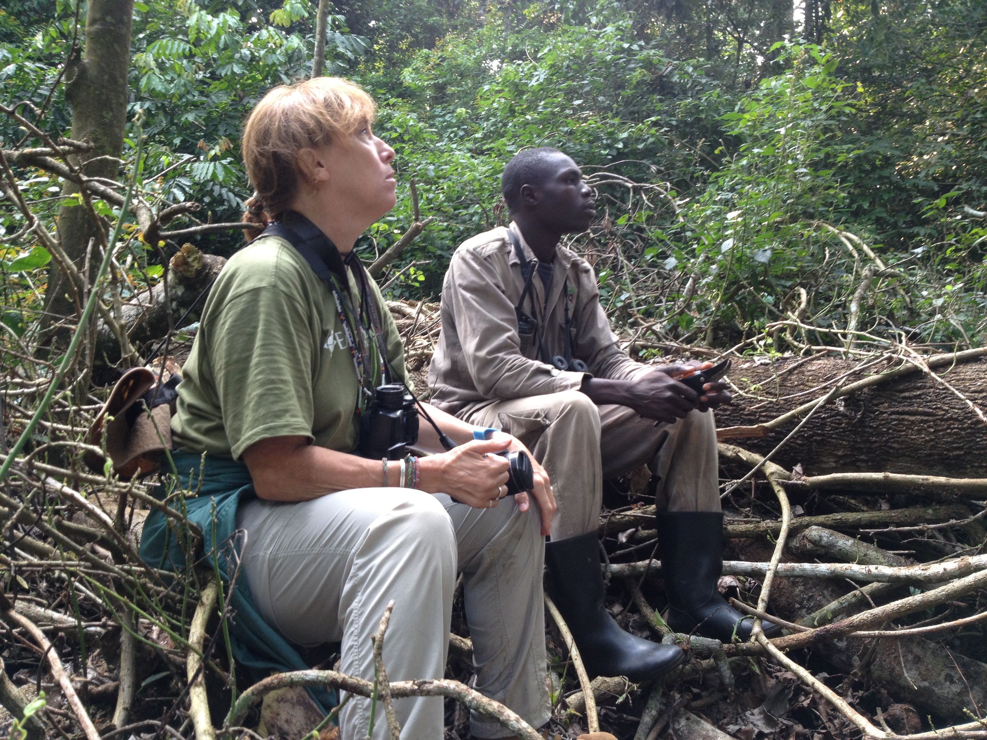 A volunteer and field guide watching Bahati and taking down data.