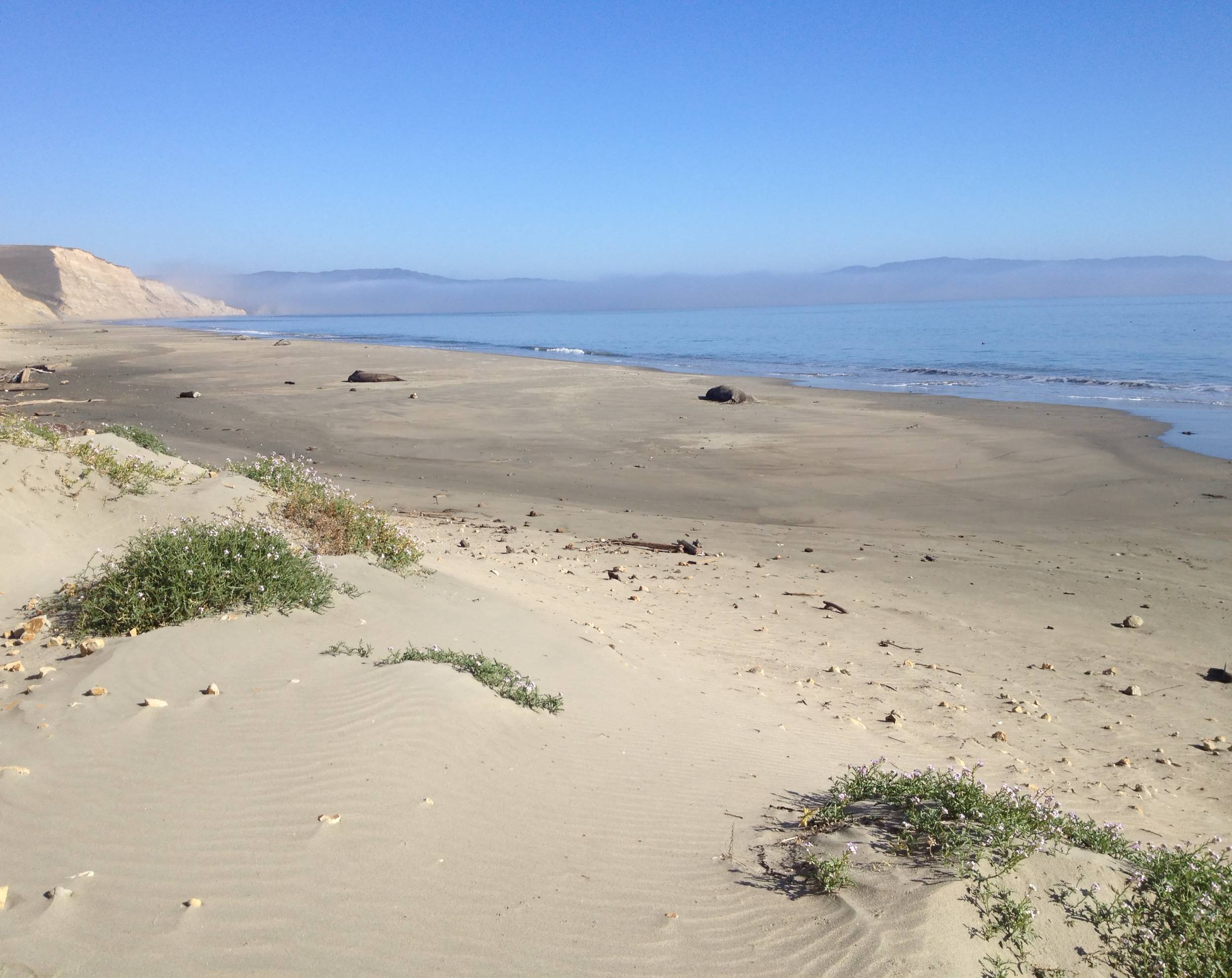 Drake's Beach Landscape