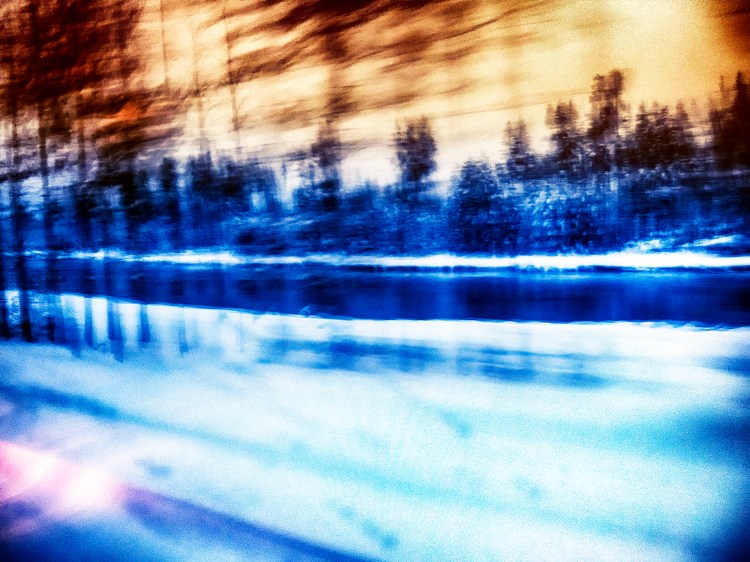 transmutation-species-final