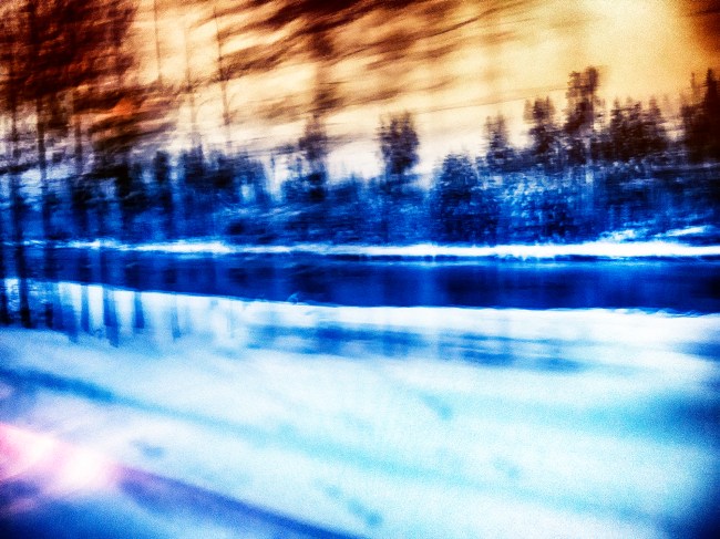 Transmutation of Specia